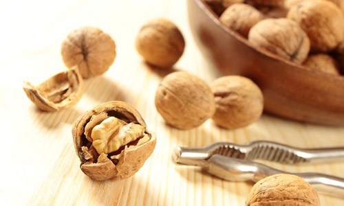 Nutcracker– Nut Aids To Cure Cancer, Fresh Food Delivery